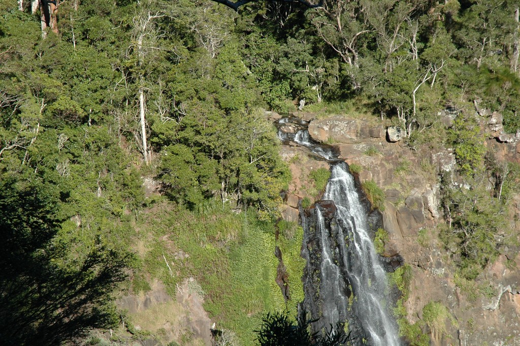 Morans Falls (Morans Falls Track)